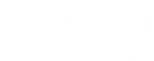 Ally logo